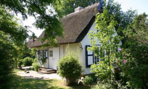 Strandhaus in Ahrenshoop